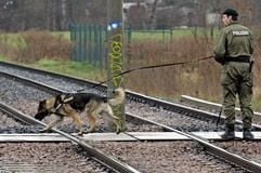 Ein Hundeführer der Polizei sucht mit seinem Hund den möglichen Weg des Opfers in Schkeuditz bei Leipzig. (Foto: dpa)
