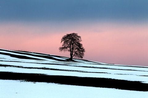 Teilweise geschmolzen der Schnee auf einer Wiese. Gibt es dieses Jahr weiße Weihnachten? (FOTO: DPA)