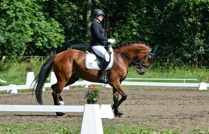 20 Entscheidungen im Springen und der Dressur standen am Wochenende beim Turnier in Neeken an.