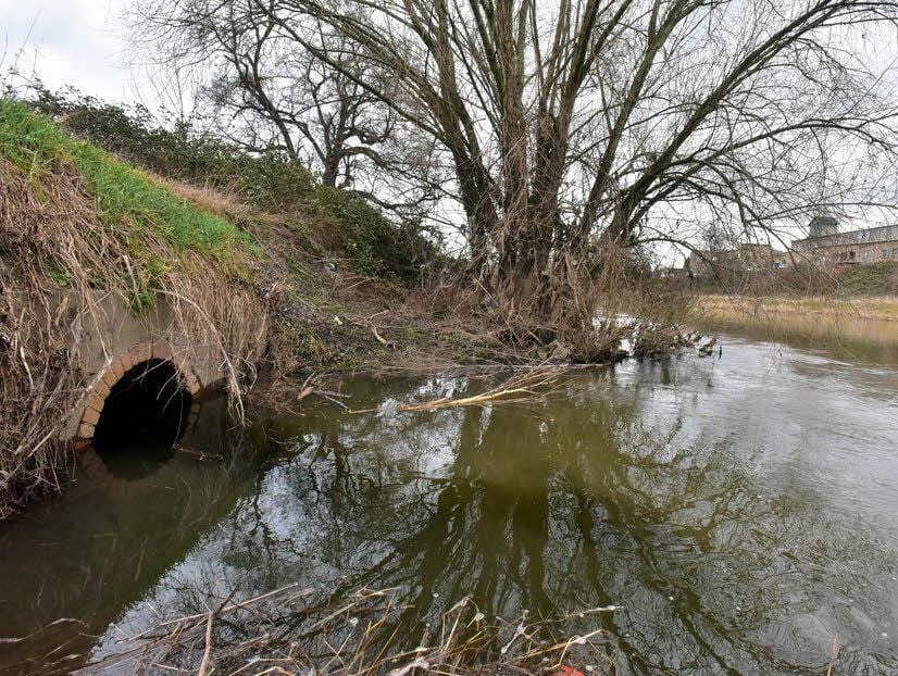 Das gereinigte Abwasser fließt hier in die Saale.