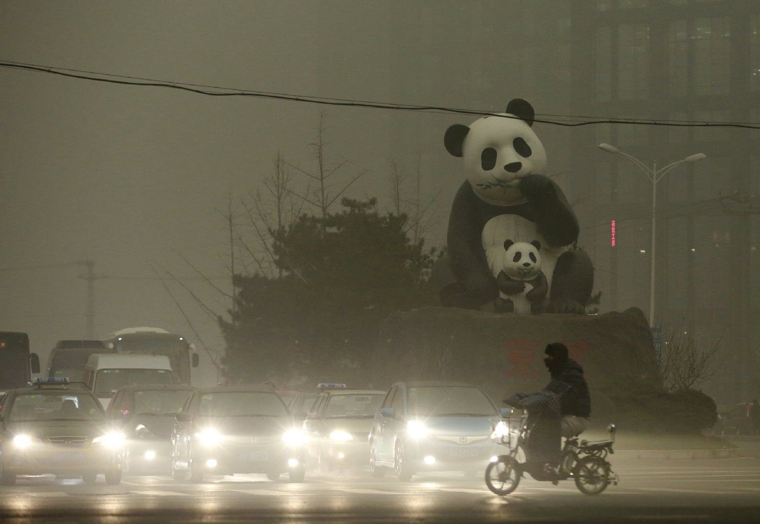 Pandas im Smog von Peking