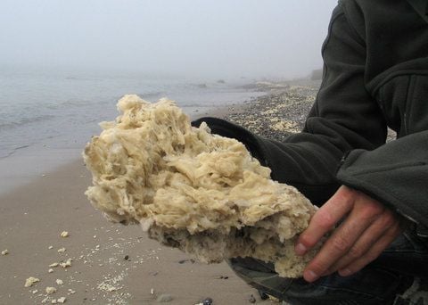 Einen großen Brocken paraffinartiger Flocken hält eine Frau am Strand zwischen Dranske und Arkona auf der Insel Rügen in den Händen. (FOTO: DPA)