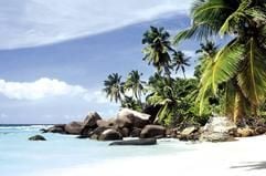 Auch hierher kann man in den Urlaub fliegen, wenn man über das nötige Geld verfügt: Stand mit Palmen auf den Seychellen. (Foto: dpa)