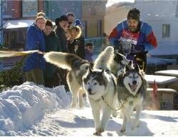 Bei bestem Winterwetter ist am Samstag das größte Schlittenhunderennen der Saison im Ostharz gestartet. Bei reichlich Schnee, strahlendem Sonnenschein und Temperaturen um minus vier Grad beteiligten sich rund 110 Gespanne mit 650 Schlittenhunden am ersten Lauf in der touristischen Westernstadt «Pullman City II» bei Hasselfelde (Landkreis Wernigerode. Über 5000 Besucher verfolgten das Rennen.