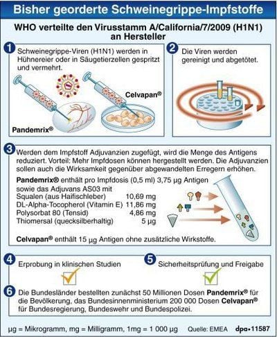Herstellung der bisher georderten Schweinegrippe-Impfstoffe, Unterschied durch Adjuvanzien (GRAFIK: DPA)