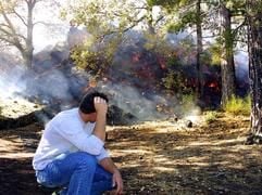 Die Lava des Ätna setzt die Pinienwälder in Brand.