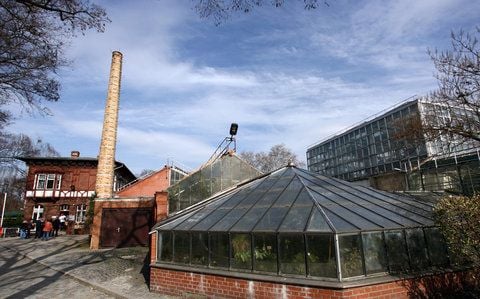 Blick auf die Gruson-Gewächshäuser in Magdeburg. (FOTO: DPA)