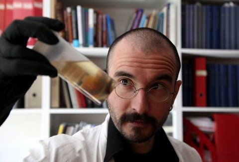 Mark Benecke, Kriminalbiologe und Spezialist für forensische Entomologie, in seinem Labor in Köln.