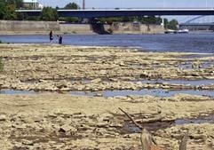 Manchmal geht wenig an er Elbe in Magdeburg: Der Domfelsen ragt am 22. Juli 2003 aus dem Wasser, so dass Schiffe die Stelle nicht passieren können. (Foto: dpa)