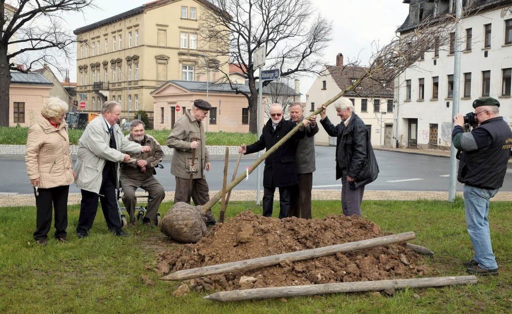 Die IG Weinhof Kloster Posa hat am Vormittag am Kalktor von Zeitz eine Eiche gepflanzt.