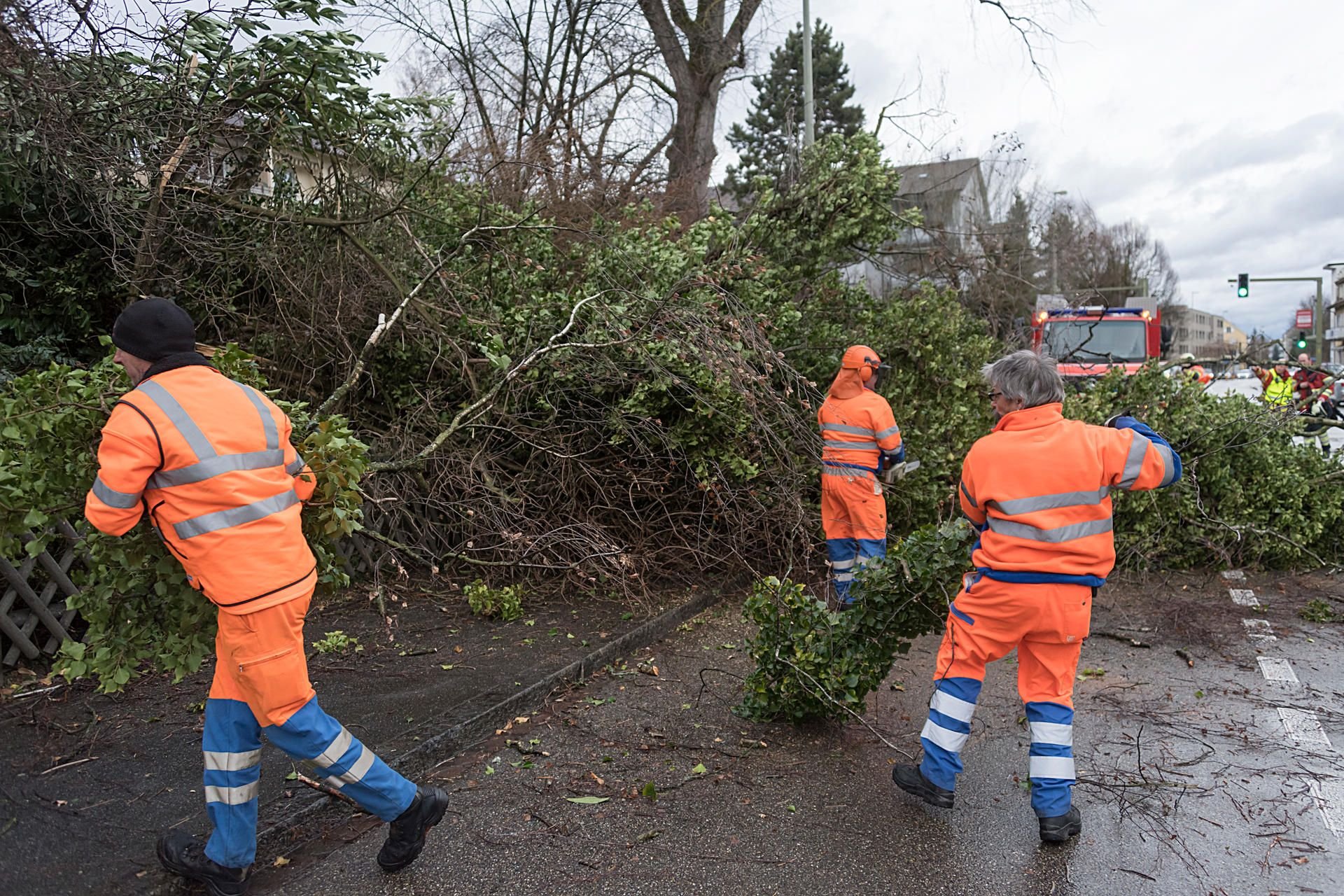 Arbeiter räumen einen durch Sturmtief „Burglind“ umgestürzten Baum von der Straße. Auch in Thüringen knickten bereits Bäume.