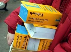 Deutsch-polnische Wörterbücher - in Osteuropa allgemein und auch in Deutschlands direktem östlichen Nachbarland werden vor allem Mitarbeiter für das Controlling, für Vertrieb und Marketing, aber auch für das mittlere und höhere Management gesucht. (Foto: dpa)