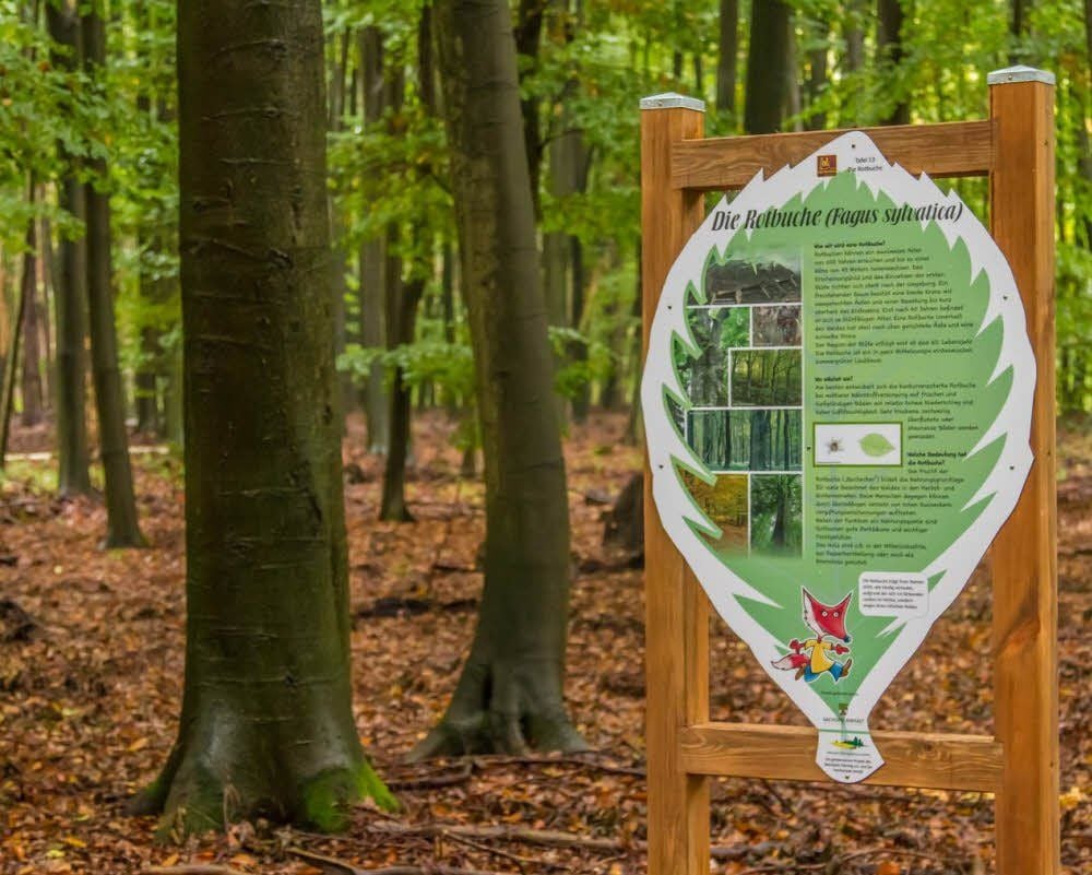 Der Naturpark Jeber-Bergfrieden feiert sein zehnjähriges Bestehen mit einem neuen Rundweg.