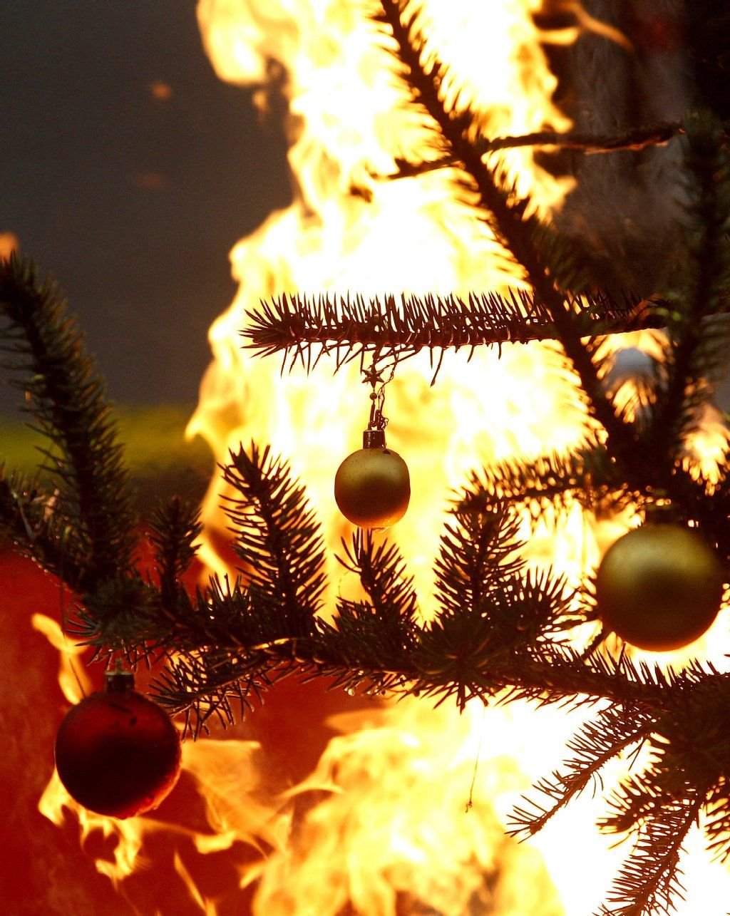 Zu den Feiertagen gehört ein Weihnachtsbaum für viele einfach dazu. Und wer es nostalgisch mag, verzichtet auch auf echte Kerzen nicht. Das ist aber ein Risiko, weil der Nadelbaum leicht Feuer fängt.