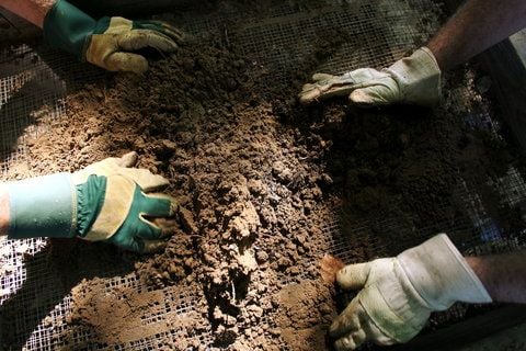 Ehrenamtliche Grabungshelfer suchen in Kalkriese bei Osnabrück im Abtrag einer Ausgrabungsstelle nach Gegenständen. (ARCHIVFOTO: DAPD)