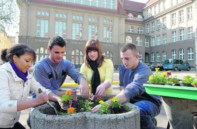 Halle Junge Strafgefangene üben sich als SchulhofGärtner