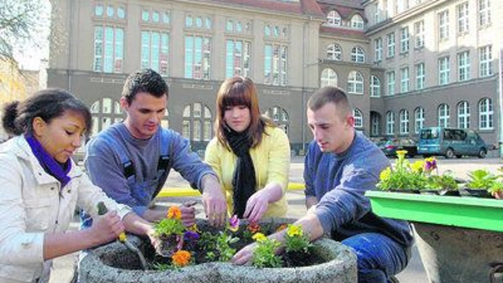 Halle Halle Junge Strafgefangene üben sich als SchulhofGärtner