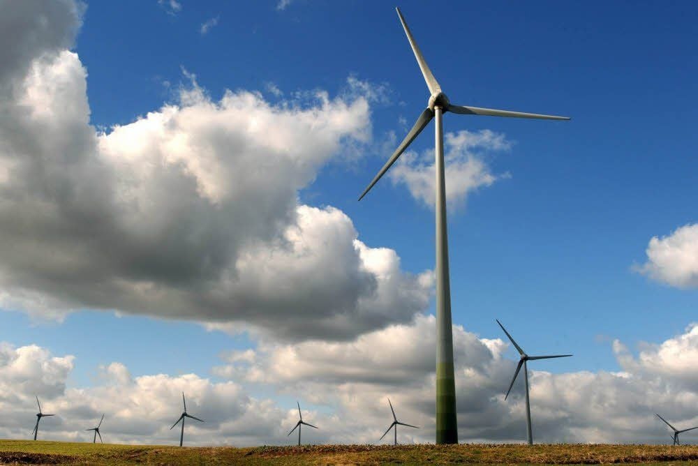 Windenergie ist die günstige grüne Stromquelle. Der Naturschutzverband Nabu befürwortet sie, bremst aber, wo er einen ungeregelten Ausbeu zu Lasten der Natur befürchtet.