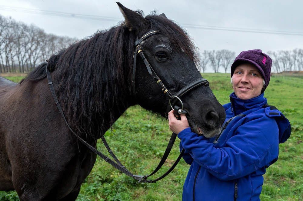 Pferd Carlo ist jetzt ein Filmstar