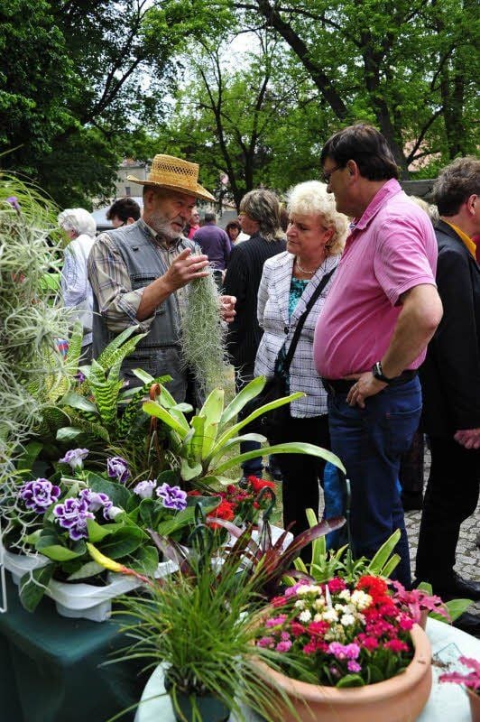 Familie Kleinschmidt aus Weißenfels informierte sich bei Kurt Jülich (links) über Bromelien und Orchideen.