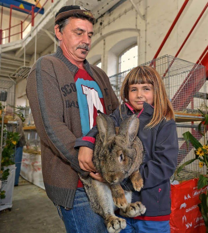Nicht jeder Besucher darf einmal so ein Prachtexemplar von Hasen in den Händen halten. In diesem Fall hilft Opa Andreas, denn der Deutsche Riese ist zu schwer für Katrin aus Roßlau.