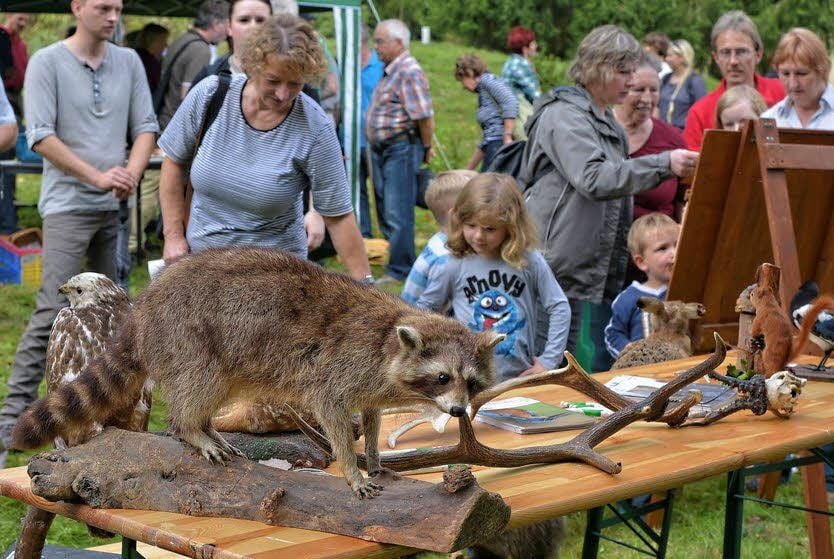 Für kleine und große Besucher war in Süd viel vorbereitet.