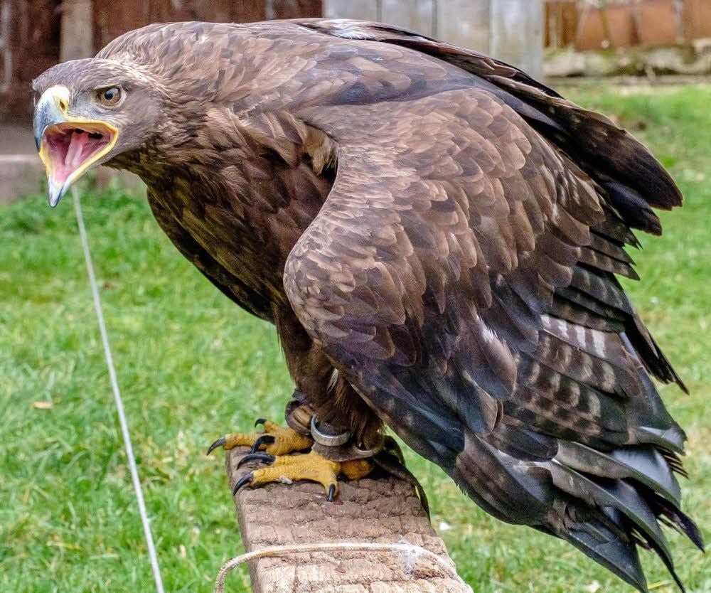 Abflug ins Winterquartier