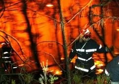Feuerwehren versuchen, die Wald- und Buschbrände bei Fréjus in Südfrankreich zu ersticken. (Archivfoto: dpa)