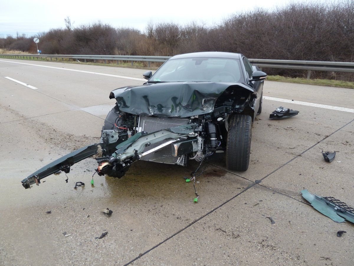 Der Jaguar auf der Autobahn 9 bei eisenberg.