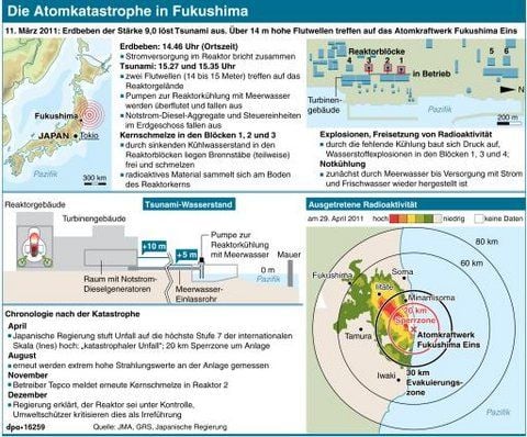 Die Atomkatastrophe in Fukushima (GRAFIK: DPA)
