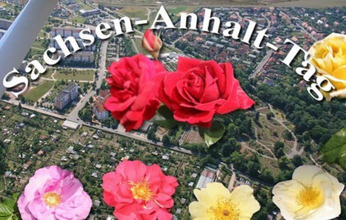 Die Rosen - das liegt in der Natur der Sache - werden beim Landesfest eine wichtige Rolle spielen.