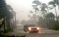 Ein Auto passiert in Naples (US-Bundesstaat Florida) eine durch die Regenfälle des Hurrikans «Wilma» überflutete Straße. (Foto: dpa)