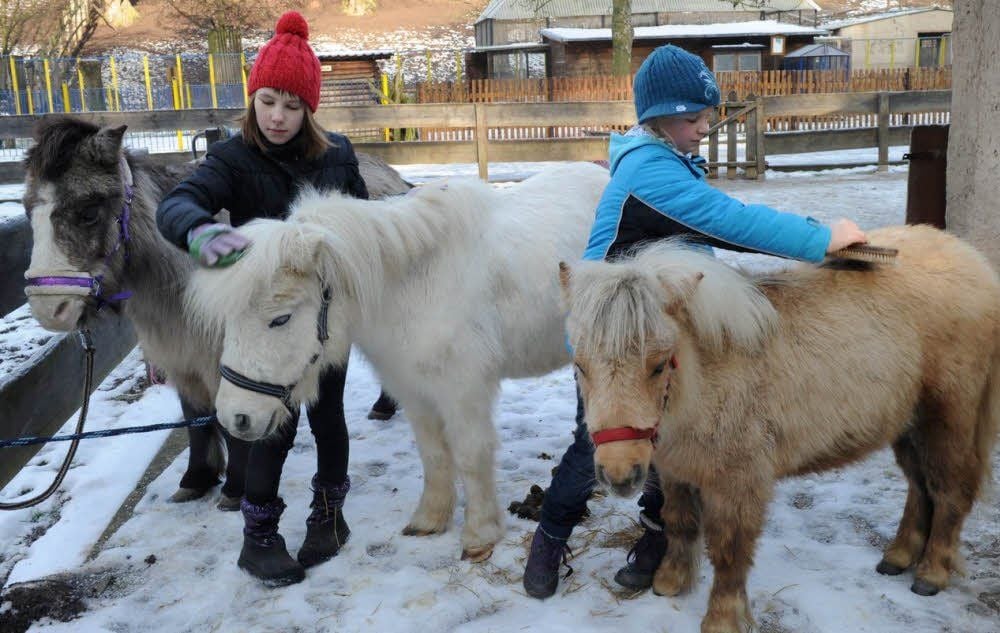 Isabell Koplin (links) und Sophie Scholz sind im Walbecker Tierpark im Ponyclub aktiv.