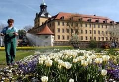 In der Landesgartenausstellung in Zeitz gießt am Donnerstag (22.04.2004) die Gärtnerin Petra Bauer vor dem Schloß Moritzburg die weitläufigen Blumenanlagen. Auf einem 12 Hektar großen Gelände können ab Freitag (23.04.2004) die Besucher der Landesgartenschau im Burgenlandkreis unter anderem 12 Themengärten und 14 wechselnde Blumenschauen in zwei Hallen erleben. (Archivfoto: dpa)