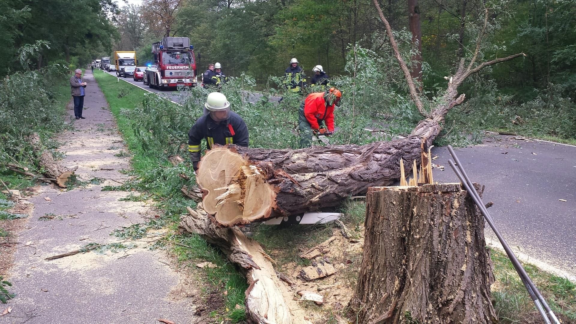 Feuerwehrleute räumen die L63 zwischen Aken und Dessau.
