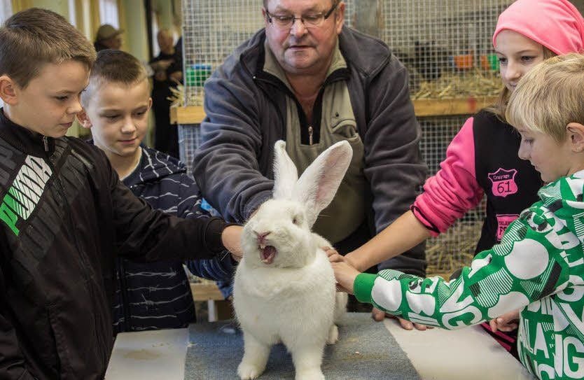 Lothar Ehrentraut zeigt den Kindern einen seiner weißen Riesen.