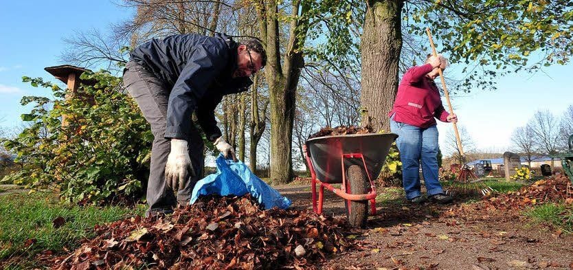 Berge von Laub beseitigten die Kropstädter auf dem Friedhof.