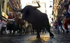 Ein Stier läuft durch eine Menge von Menschen in den engen Gassen der Stadt Pamplona in Spanien. (Foto: dpa)