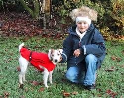 Kleine Hunde freuen sich über ein gestricktes