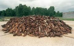 Ein großer Berg von Munitionsschrott lagert auf dem Truppenübungsplatz Altmark in der Colbitz-Letzlinger Heide. (Foto: dpa)