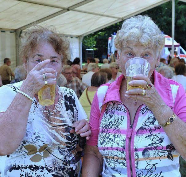Bei der Hitze schmeckt ein kühles Blondes besonders gut. Im Stadtpark wurde am Sonnabend aber nicht nur gefeiert. Die Gäste von DWG und Wohnungsverein konnten sich über Dessaus Entwicklung informieren.