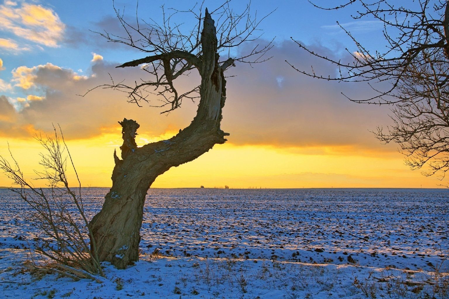 Ein Fotobeitrag aus dem Wettbewerb 2013: "Abendsonne" von MZ-BürgerReporterin Reina Sträletzky.