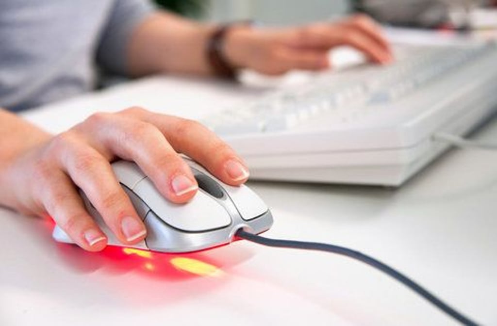 Am Montag startet eine große Einwohnerbefragung im Internet.