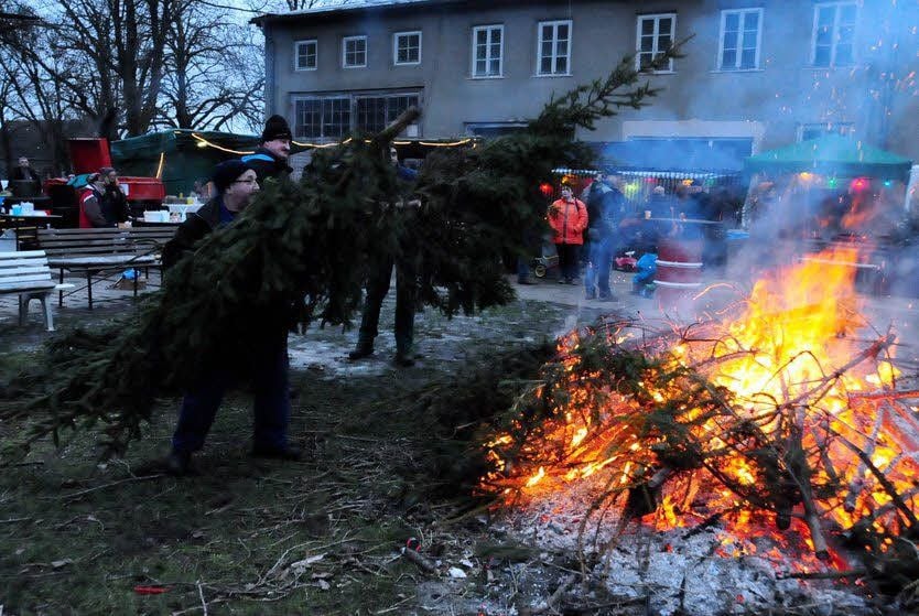 Eine große Zahl ehemals stolzer Weihnachtsbäume wurde den Flammen vom Knut-Feuer geopfert.