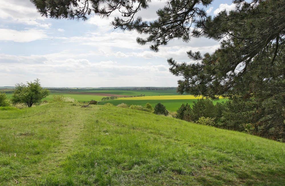IIdyllisch sieht es bei schönem Wetter am Schwalbenschwanz aus.