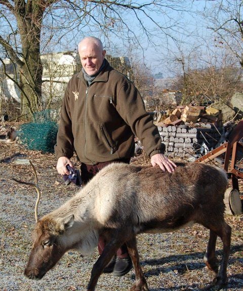 Hans Fehrmann aus Schwarz (Landkreis Müritz) steht in seinem Rentiergehege. (FOTO: ZB-FUNKREGIO)