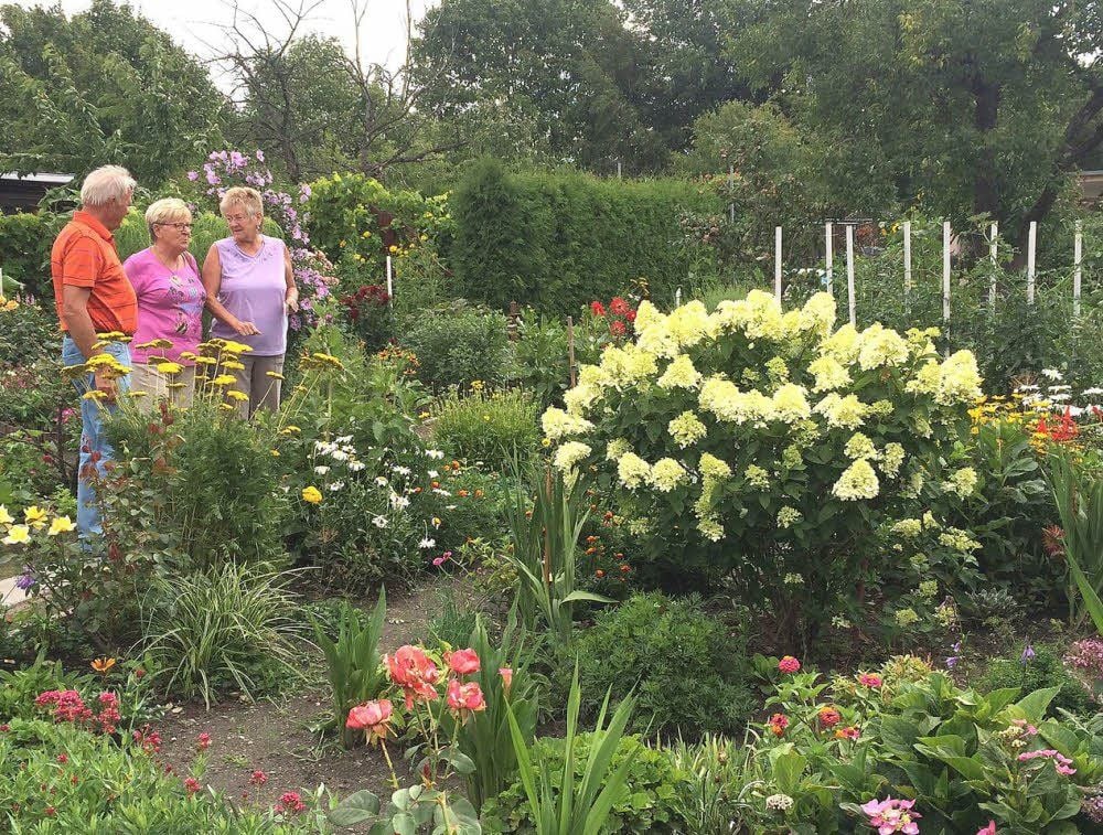 Günter und Margit Jacobi sind wie Petra Sander (rechts) selig im grünen Idyll. Die Gräfenhainichener Kleingartenanlage „Baumgarten“ zählt zu den schönsten ihrer Art im Landkreis Wittenberg.