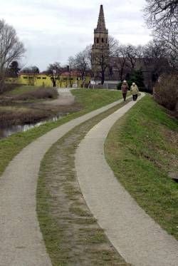 Elbdeich bei Magdeburg