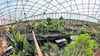 Die Tropenhalle "Gondwanaland" im Zoo Leipzig bleibt vorerst geschlossen.&nbsp;