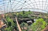 Die Tropenhalle "Gondwanaland" im Zoo Leipzig bleibt vorerst geschlossen. 